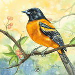 “Oriole in Sunlight Serenity” Original Watercolor Painting