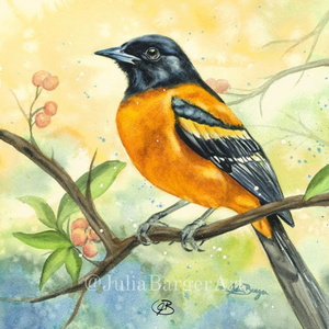 Oriole in Sunlight Serenity 8"x10" Print