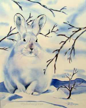 Snowshoe Rabbit 11"x14" Print