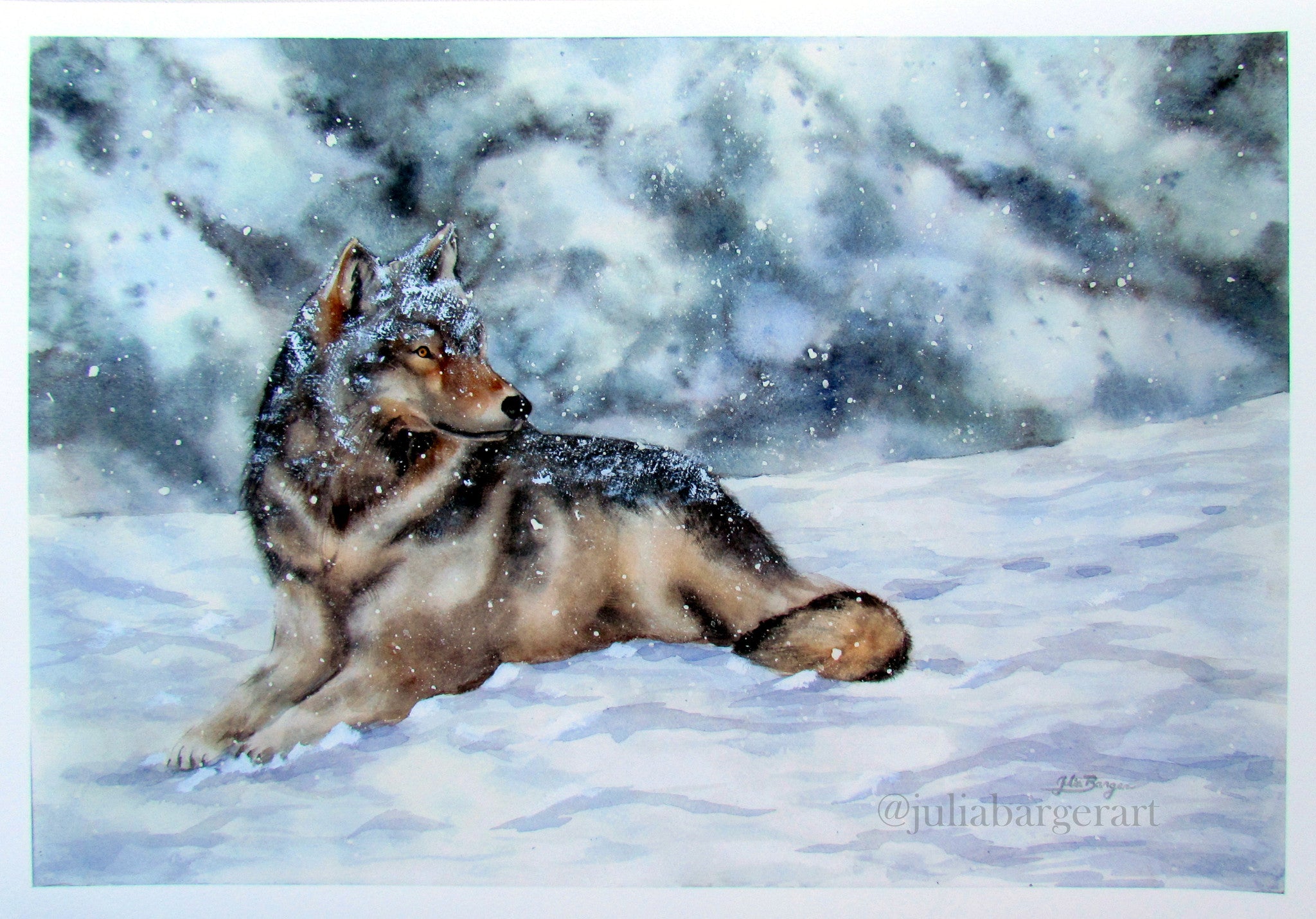 Winter Wolf 11"x 16" print
